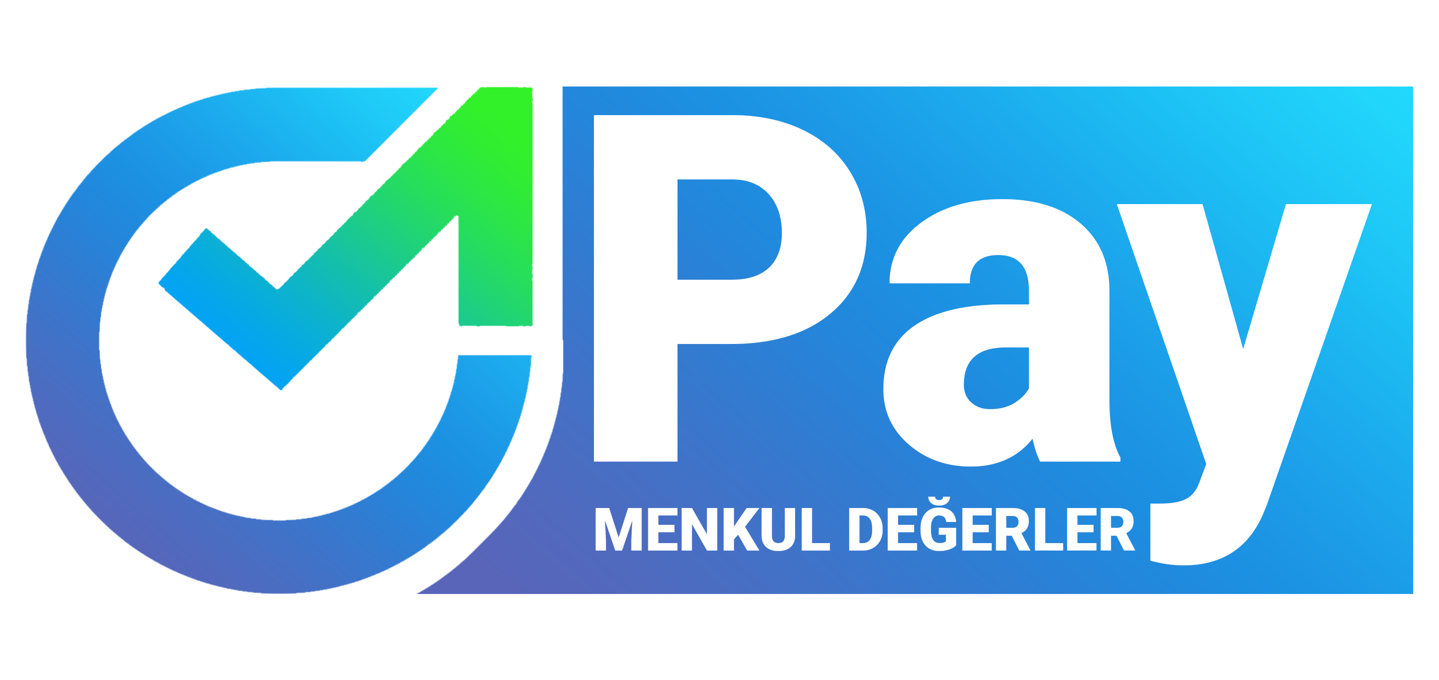 Pay Menkul Değerler